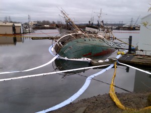 sunken boat, derelict vessels, water, environment