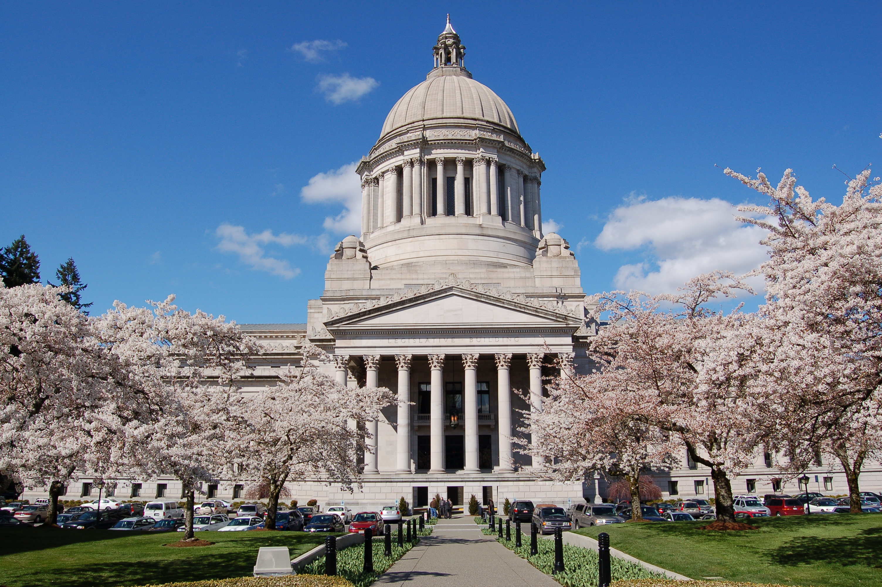Photo of a classic white building with rotunda, blooming cherry trees in foreground, bright blue sky in background