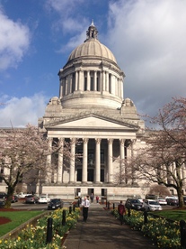  Spring has arrived in Olympia!