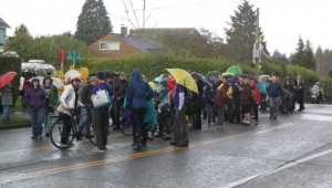  pedestrian, protest