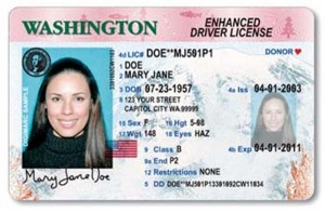 Enhanced Driver's License for International Travel