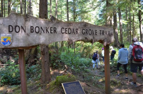 Cedar Grove Trail. Photo courtesy of the Long Beach Peninsula Visitors Bureau.