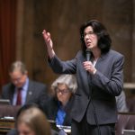 Rep. Christine Kilduff on floor of House