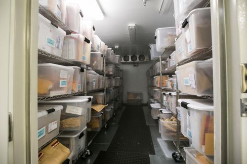 Evidence freezer filled with untested rape kits.
