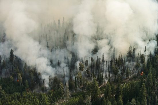 Wildfire spreads through Okanogan County forests the day after three firefighters were killed battling the Twisp River fire in 2015.