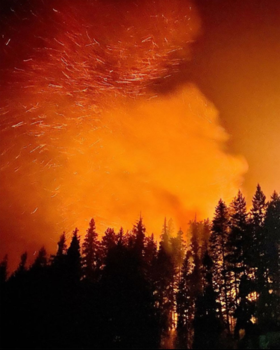 Black trees are silhouetted against a smoky, dark orange sky.