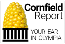 Yellow ear of corn with text on the right saying Cornfield Report Your Ear in Olympia 
