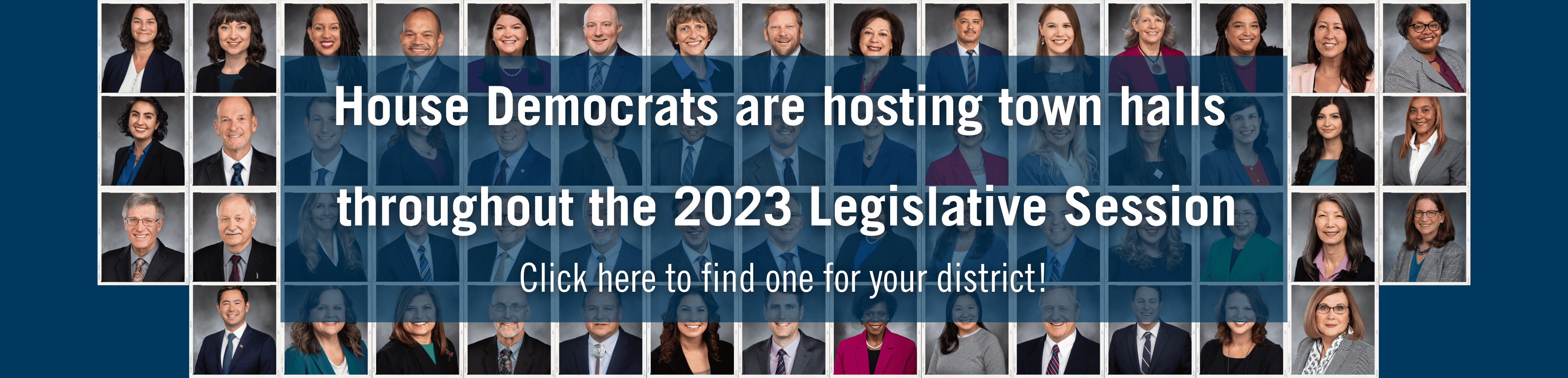 Webpage banner that links to House Democratic Caucus Members planned town halls
