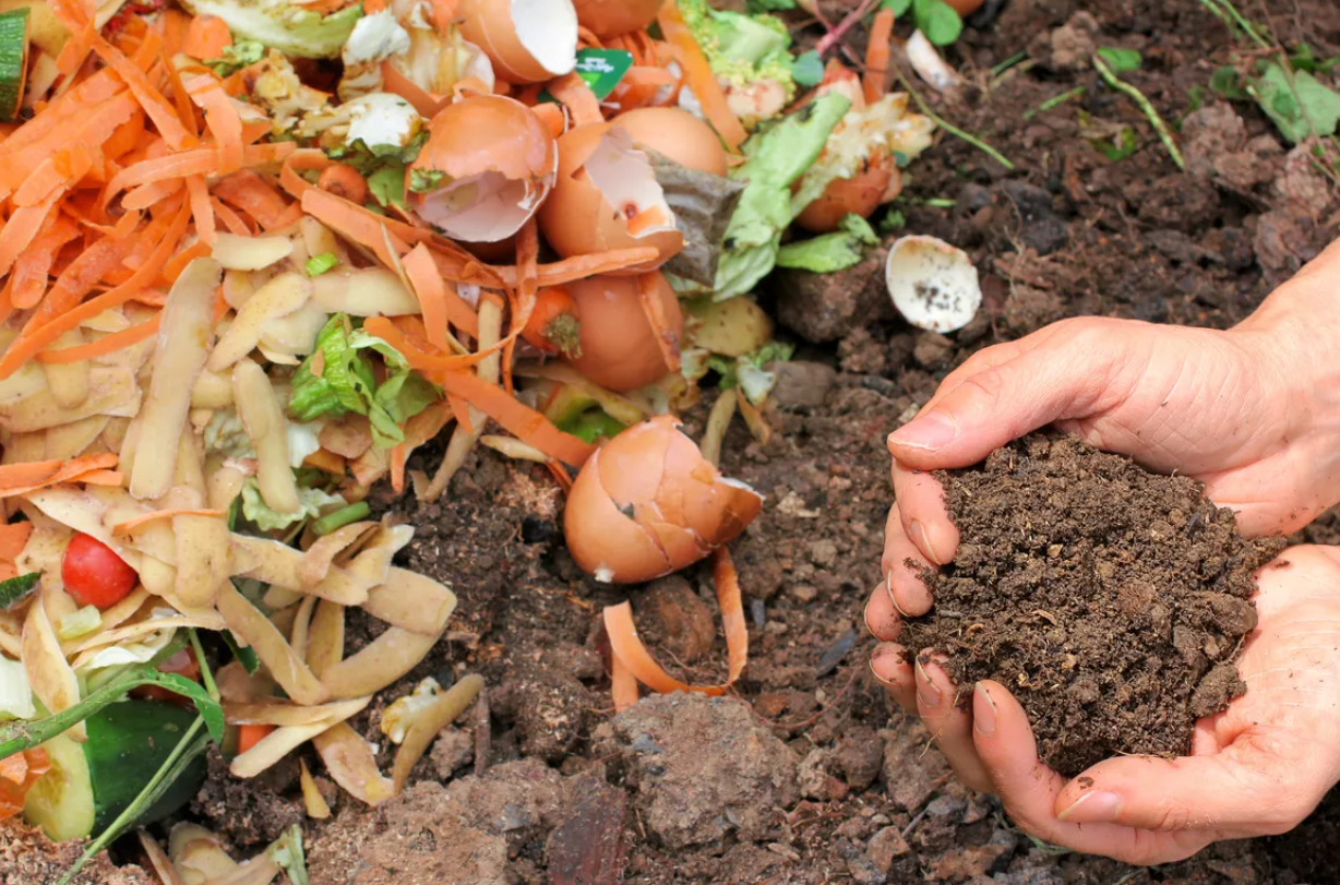 You don’t need any fancy equipment to get started on composting your organic waste. You can keep it as simple as a pile on the ground in your yard.