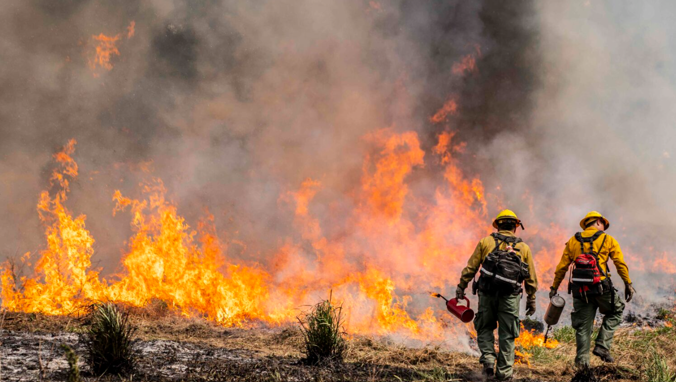 Volunteer firefighters manage a live burn with drip torches during a wildfire training course on May 8, 2021 in Brewster, Washington