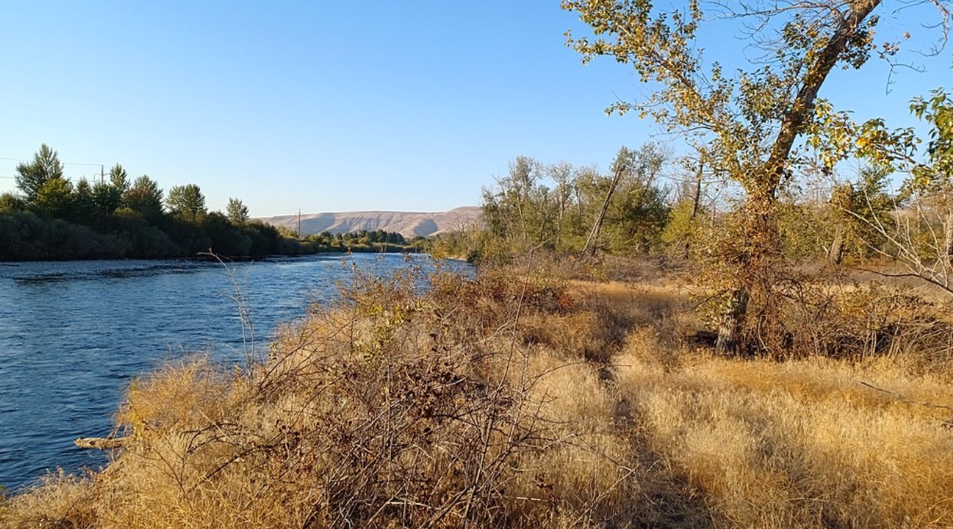 A view of the Yakima River.