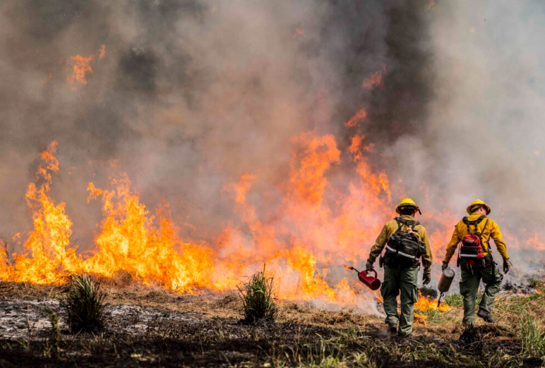 Volunteer firefighters manage a live burn with drip torches during a wildfire training course on May 8, 2021 in Brewster, Washington.