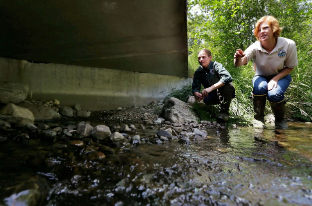 In this June 22, 2015, file photo, Julie Henning, right, division manager of the Washington Dept. of Fish and Wildlife ecosystem services division habitat program, and Melissa Erkel, left, a fish passage biologist, look at a wide passageway for the north fork of Newaukum Creek near Enumclaw, Wash. The Biden administration on Wednesday announced nearly $200 million in federal infrastructure grants to upgrade tunnels that carry streams beneath roads but can be deadly to fish that get stuck trying to pass through.