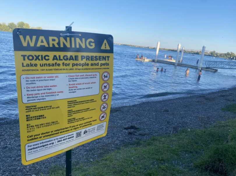Children play recently at Howard Amon Park in Richland, near a sign warning of toxic algae.
