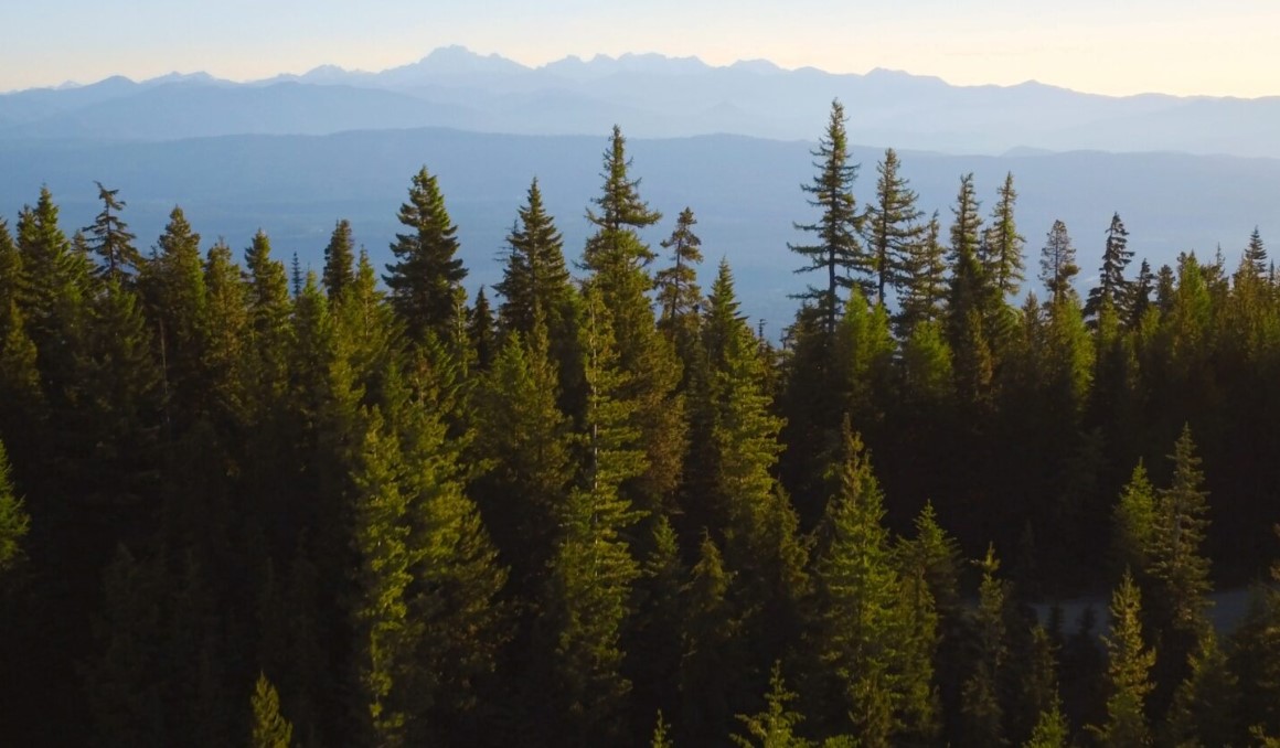  A view from the Cle Elum Ridge tract that Washington’s Department of Natural Resources is planning to acquire using state and federal funding. (Photo courtesy of The Nature Conservancy