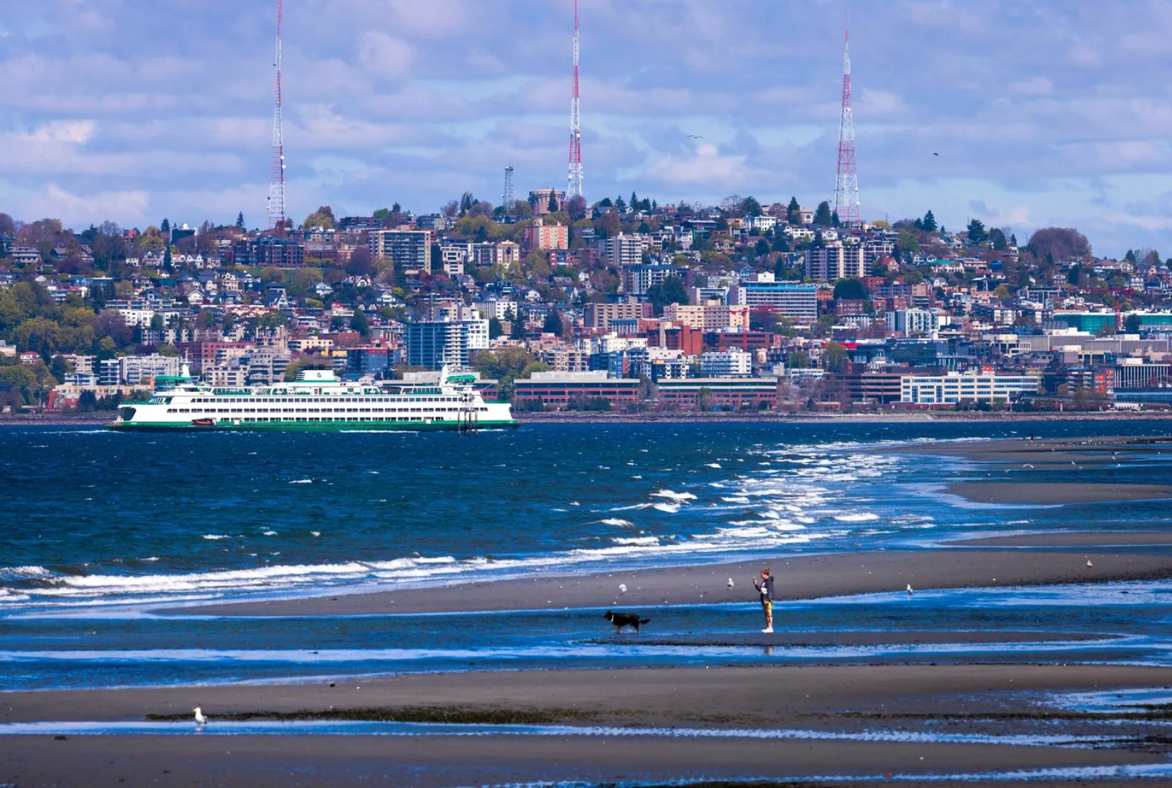 The Washington State Ferries crew and ferry riders care deeply about improving the system, writes the author. Pictured is a ferry traveling through Elliott Bay during low tide at Alki Beach in Seattle. (Erika Schultz / The Seattle Times)