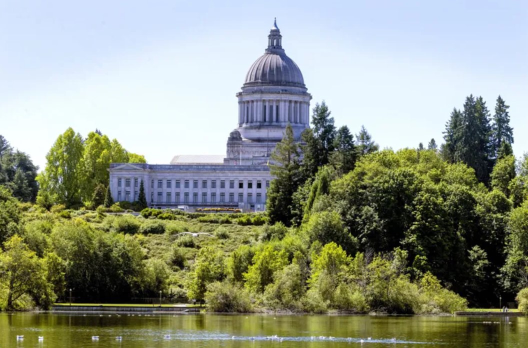 The Washington state Capitol is seen as seagulls swim on Capitol Lake in Olympia. (Ellen M. Banner / The Seattle Times, 2023)