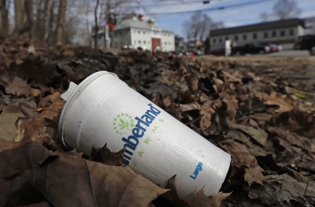 A coffee cup made from polystyrene foam will be banned as of Saturday. Foam cups, plates and other tableware will all be banned in Washington. (Robert F. Bukaty / The Associated Press)