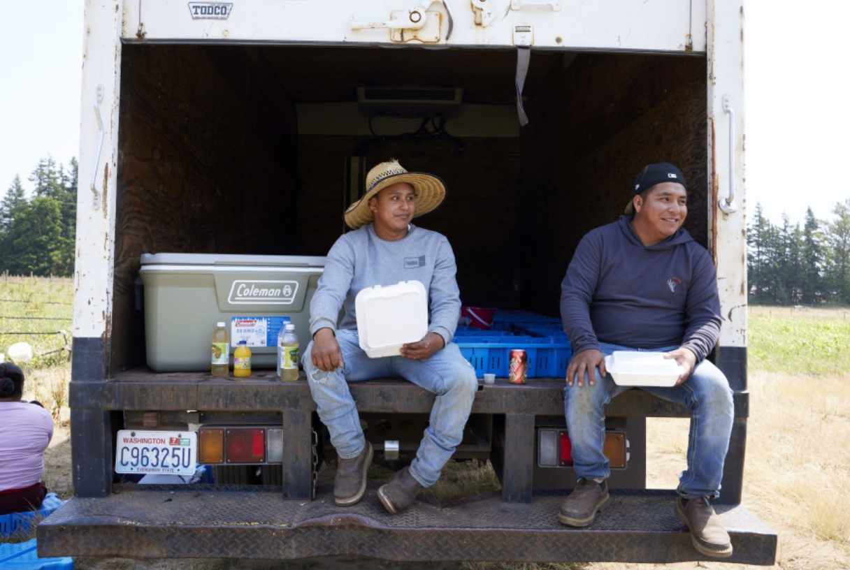Camilo Martin, left and Jesus Pablo sit in the shade of a truck to eat lunch at the Coopertiva Tierra y Libertad farm Friday, July 7, 2023, in Everson, Wash. Farms and workers must adapt to changing climate conditions. As Earth this week set and then repeatedly broke unofficial records for average global heat, it served as a reminder of a danger that climate change is making steadily worse for farmworkers and others who labor outside.(AP Photo/John Froschauer)