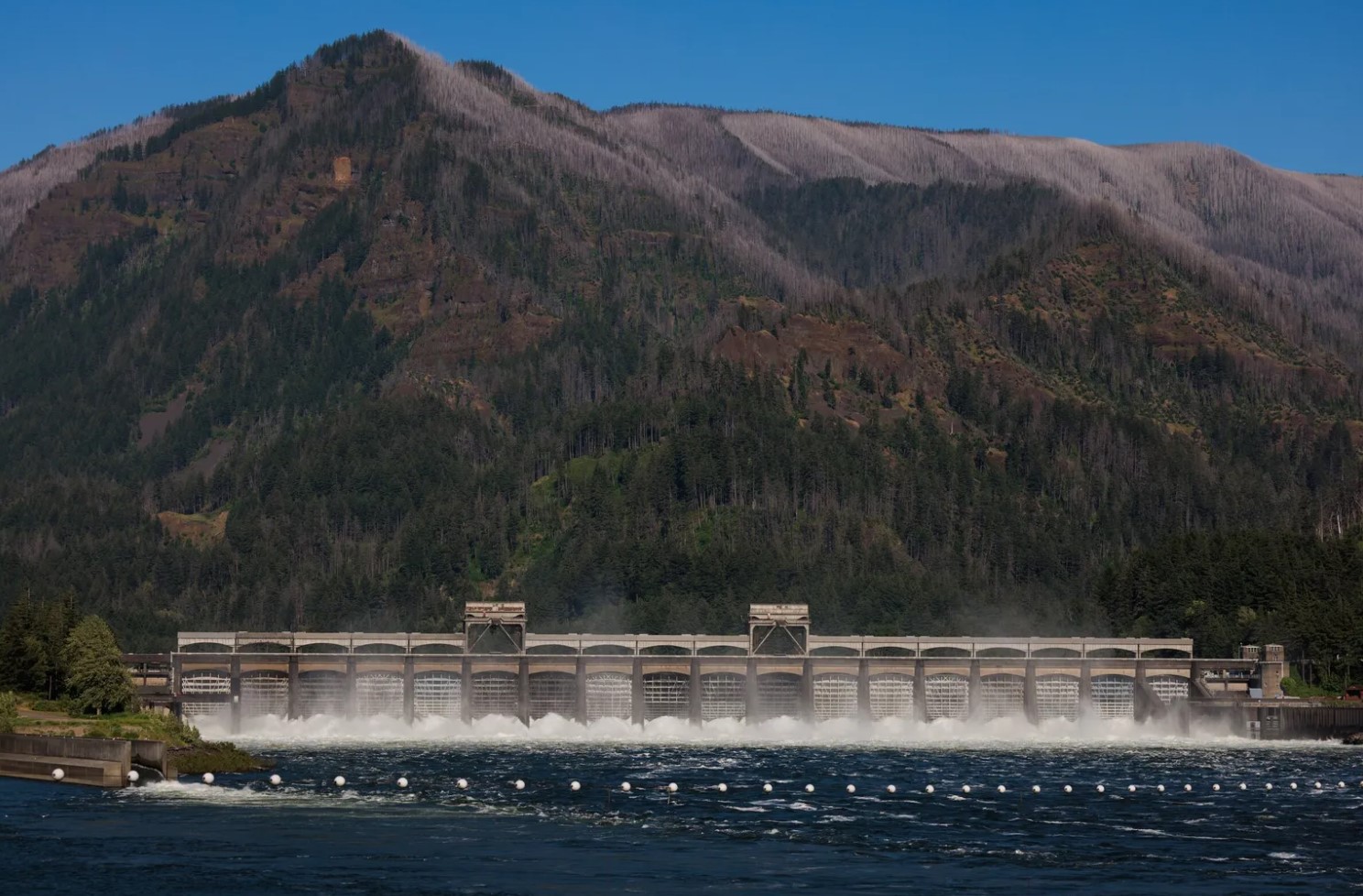  Bonneville Dam, June 12, 2024, in the Columbia River Gorge. (Erika Schultz / The Seattle Times)