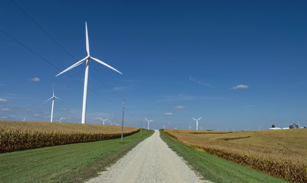 Wind turbines along a rural road. Washington will have to develop renewable energy projects to meet its carbon-free goals. A lot of that development will likely happen in rural areas.
