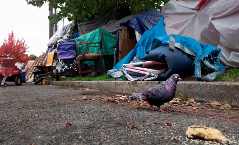 A pigeon eats a piece of bread at a homeless encampment along M Street near The Evergreen State College’s Tacoma campus on Oct. 12, 2021. TONY OVERMAN 