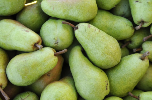 Picture of green pears