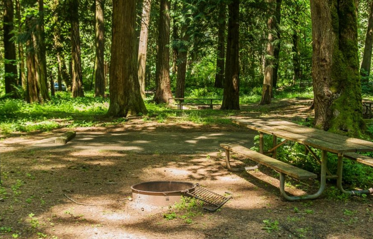 A campground at Paradise Point State Park. (Washington State Parks)