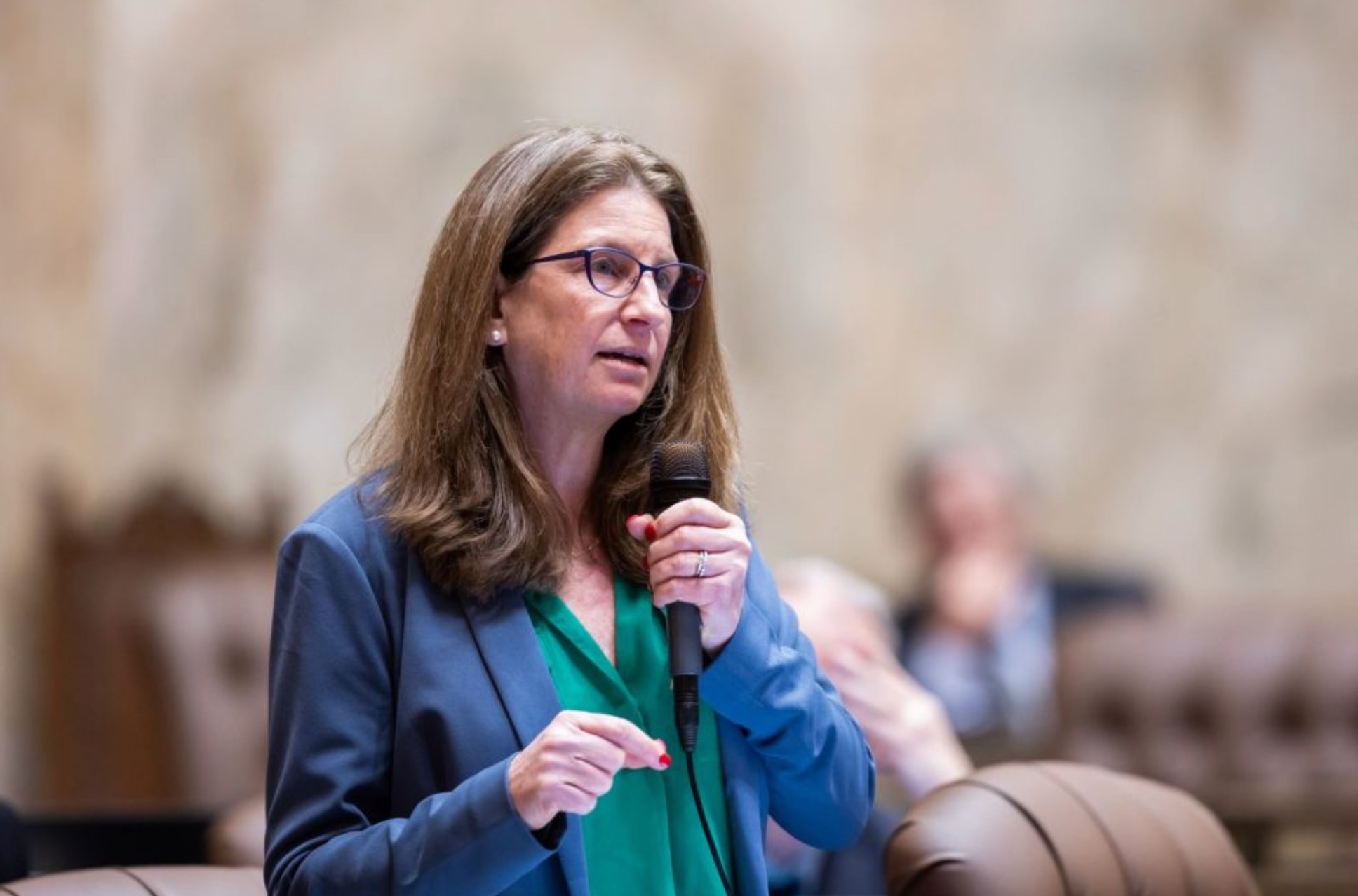 State Rep. Tana Senn, D-Mercer Island, will become the next director of the Department of Children, Youth and Families. (Legislative Support Services)