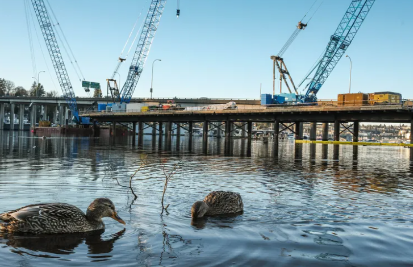 A shortfall of more than $1 billion in state’s transportation budget is squeezing megaprojects, including one to replace the bridge over Portage Bay, seen Jan. 28. The project has increased in cost by more than half a billion... (Dean Rutz / The Seattle Times)