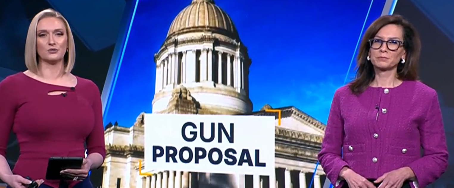 Bill Aims to Expand Gun-Free Spaces