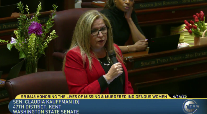 State Sen. Claudia Kauffman, a Kent Democrat, speaks on the Senate floor Monday, April 14. Screenshot, TVW