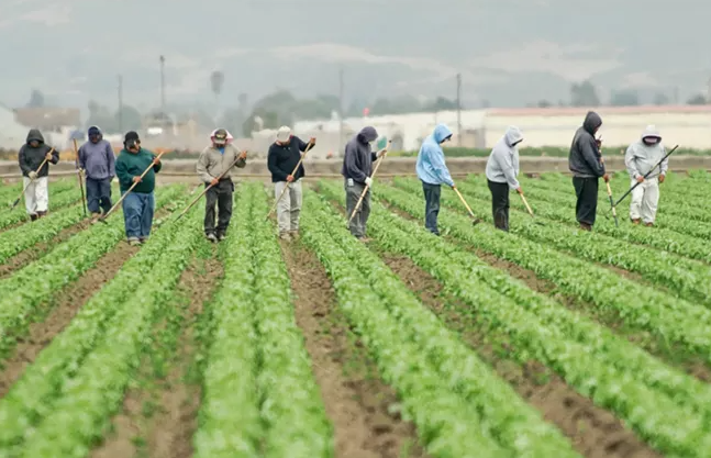 Immigrant farmworkers who are vulnerable to illegal working conditions received new protections.