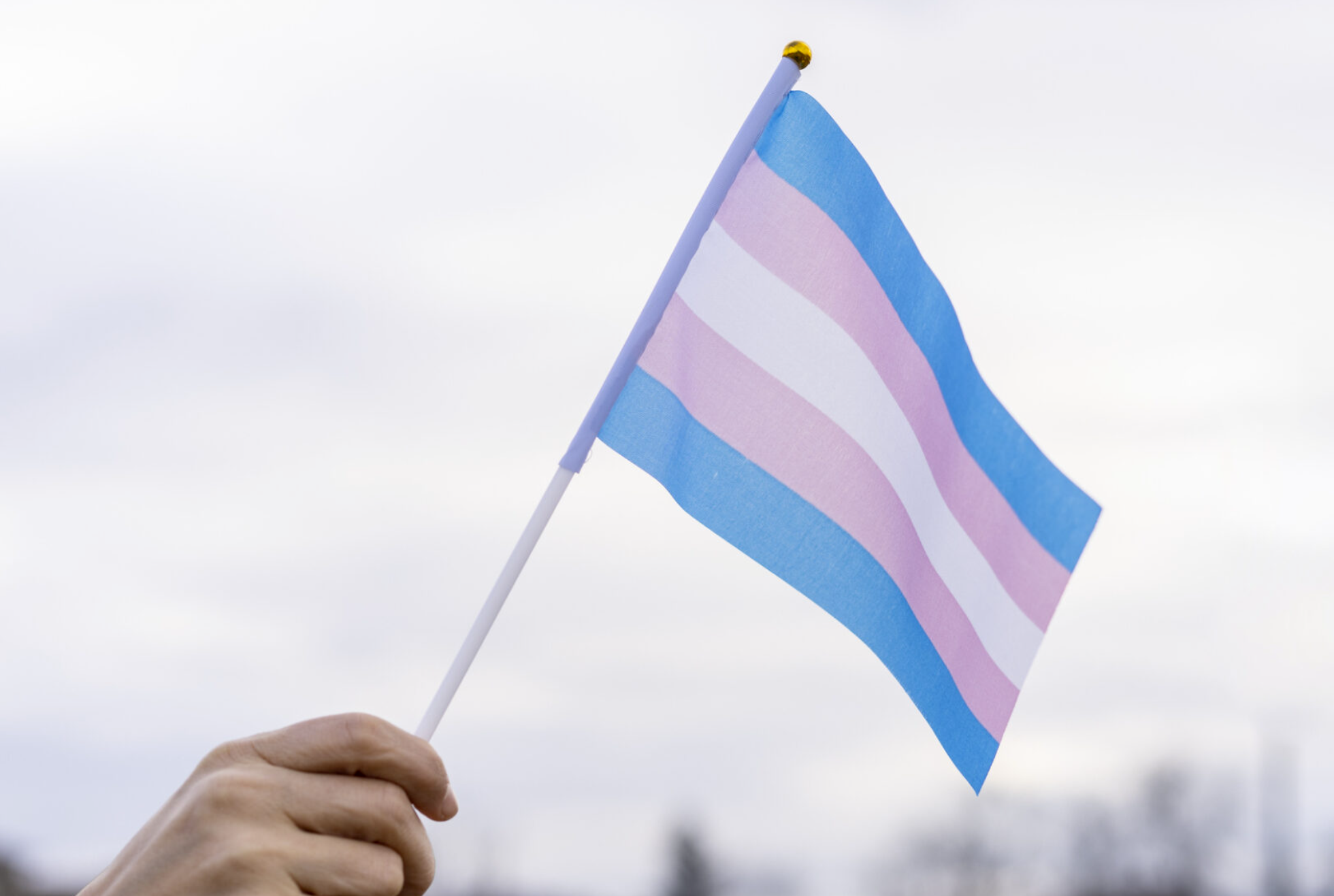 The transgender flag. Getty Images.