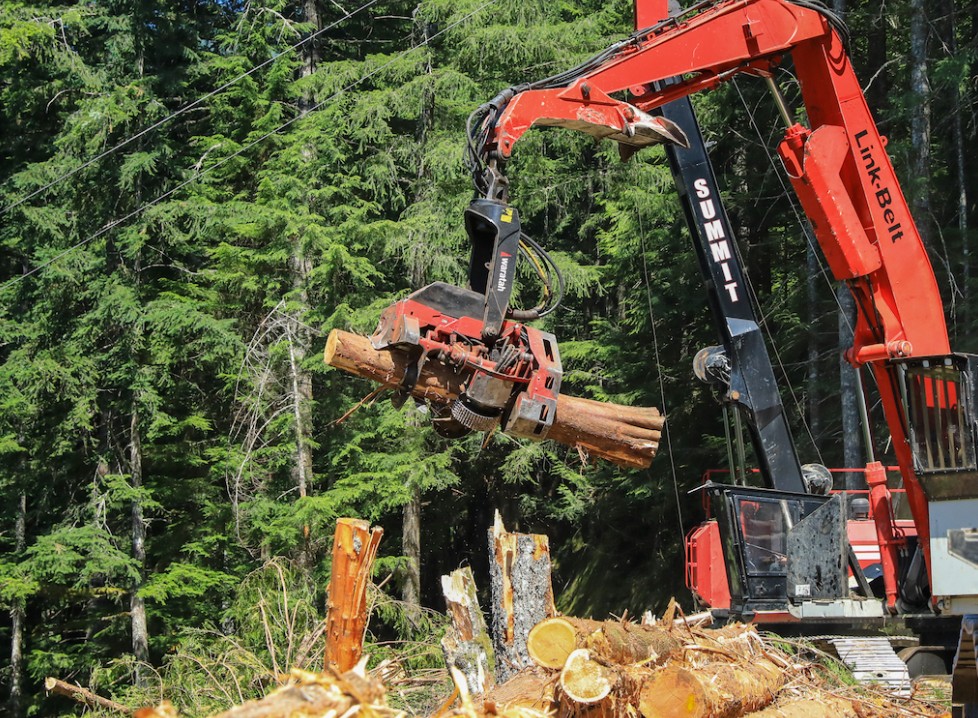 A harvester crane processes a log on a thinning project in the Mount Baker-Snoqualmie National Forest. The project was led by the Washington State Department of Natural Resources, the result of growing efforts by state agencies to conduct work on federal land. President Donald Trump’s plans to increase logging on federal lands will depend heavily on states’ cooperation, experts say. (Courtesy of Washington State Department of Natural Resources)