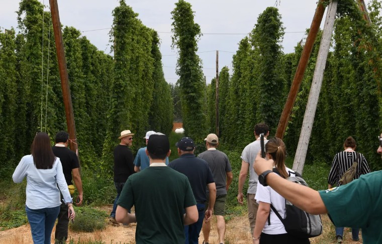 Jeff Perrault, in straw hat at left, leads a tour of hops fields at Perrault Farms for a group from the Beer Institute Wednesday, Aug. 27, 2025. (Nick Gibson/THE SPOKESMAN-REVIEW)