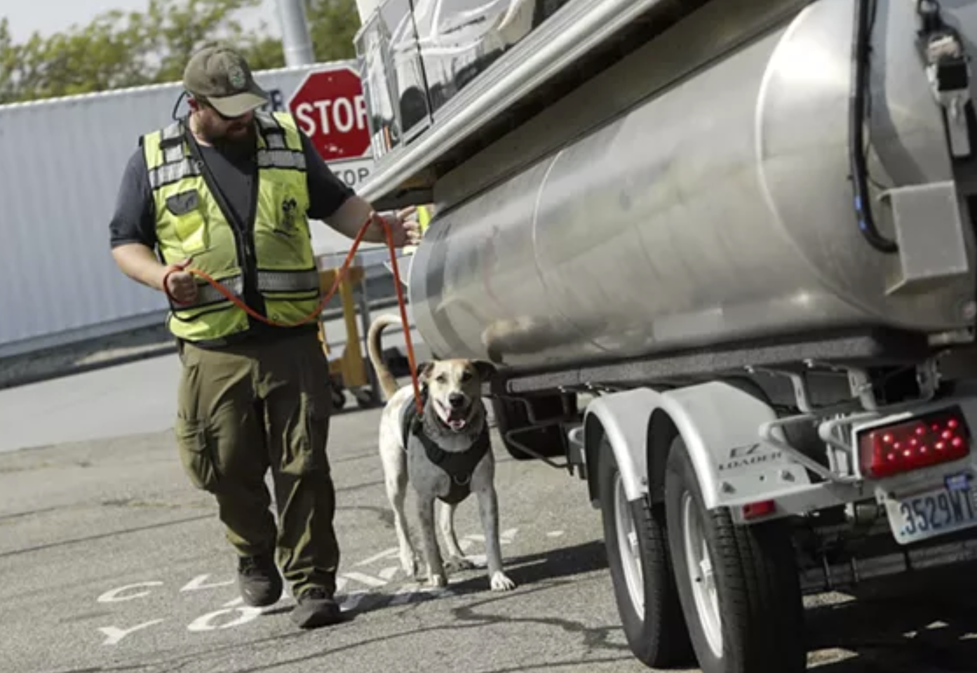 Young Kwak photo Washington Department of Fish & Wildlife Natural Resource Specialist Nick Knauss and Aquatic Invasive Species K9 Fin check a boat for quagga and zebra mussels at the Liberty Lake watercraft inspection station.