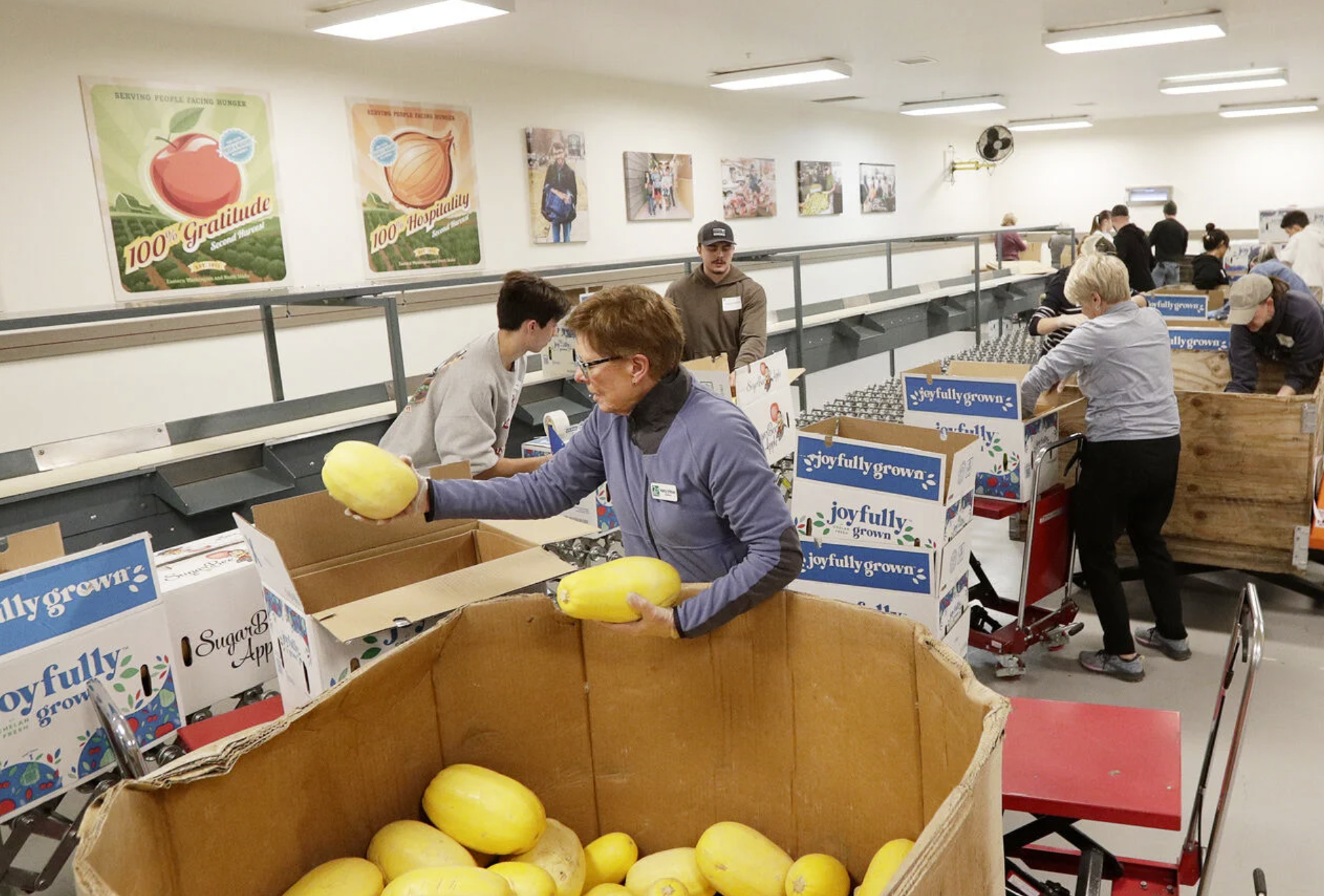 Volunteer Nancy Erikson, center, packs squash into a box at Second Harvest in Spokane. Young Kwak