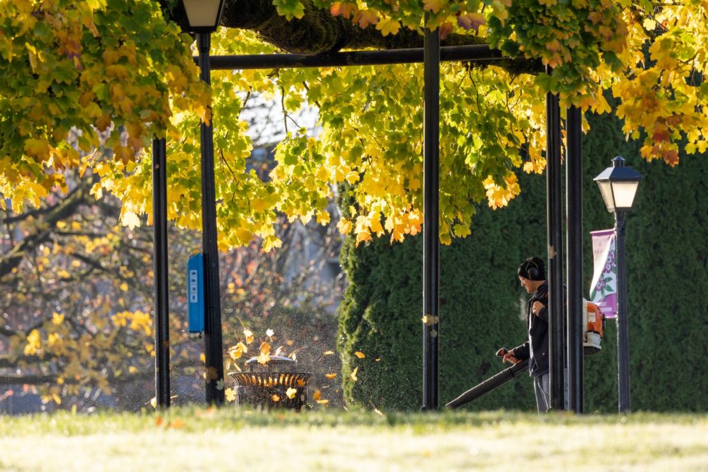 Leaf Blower