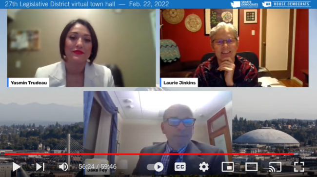 video still from 27th LD virtual town hall