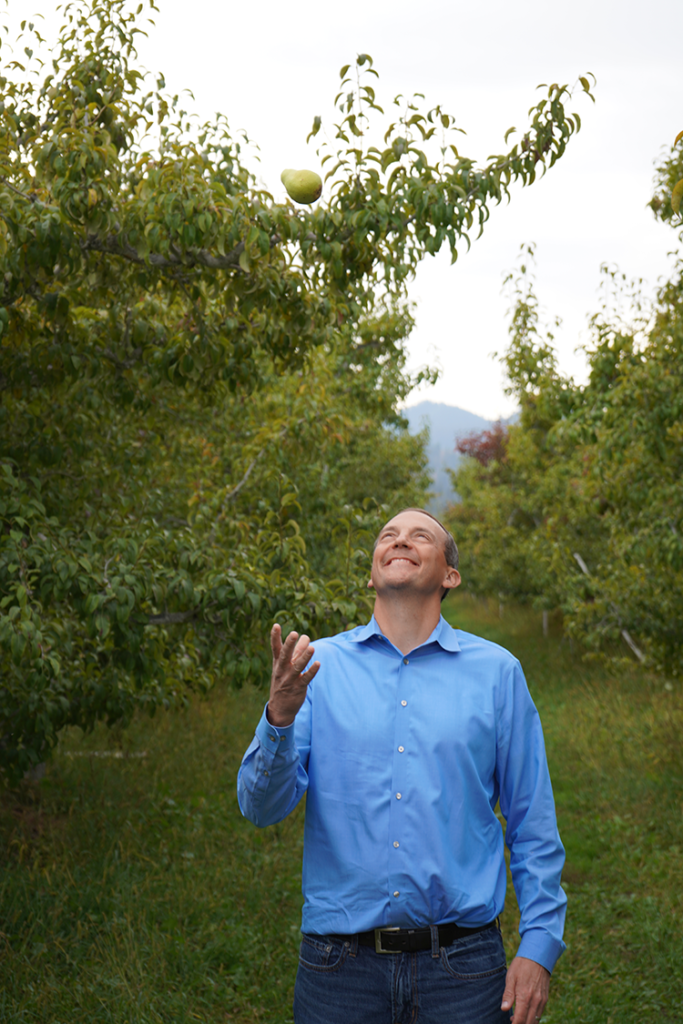 Representative Marcus Riccelli tosses a green pear in the air while standing in a pear orchard.
