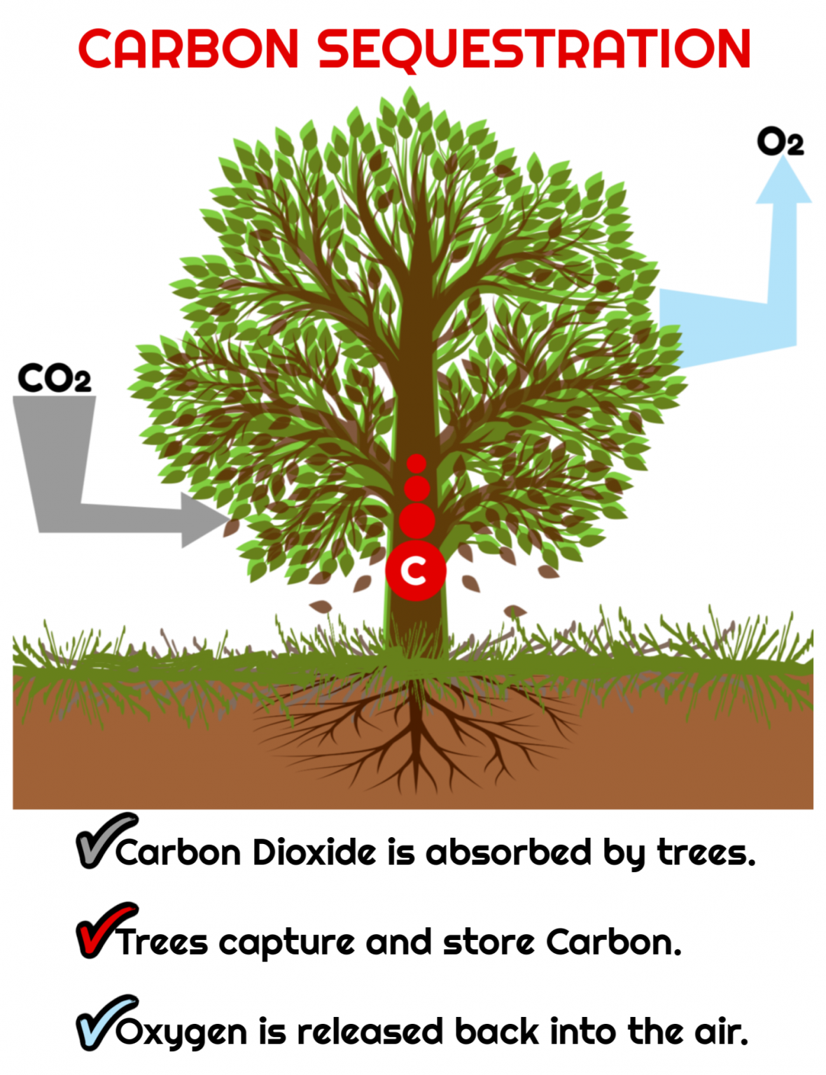 legislative-news-legislature-passes-ramos-bipartisan-carbon