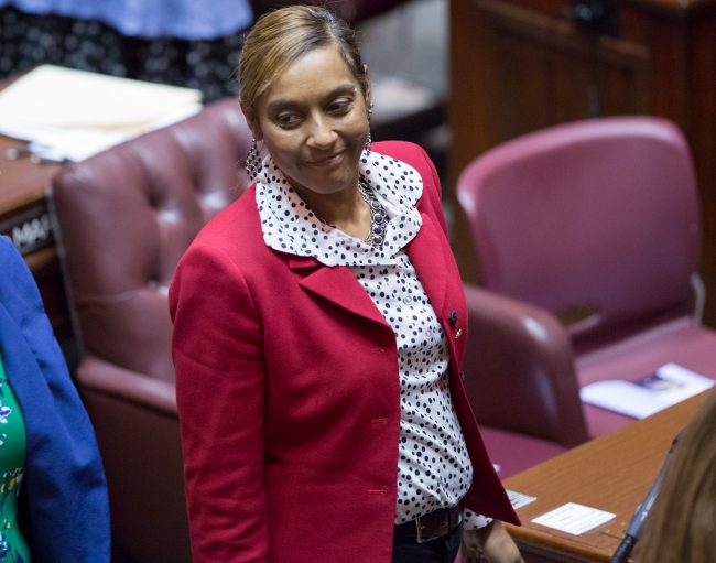 Rep. Melanie Morgan in House chambers